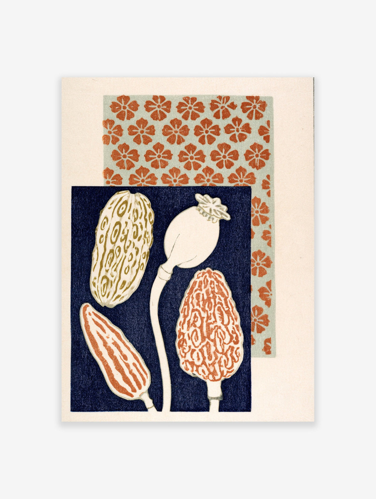Botanical poppy and mushroom illustration art print with floral pattern background