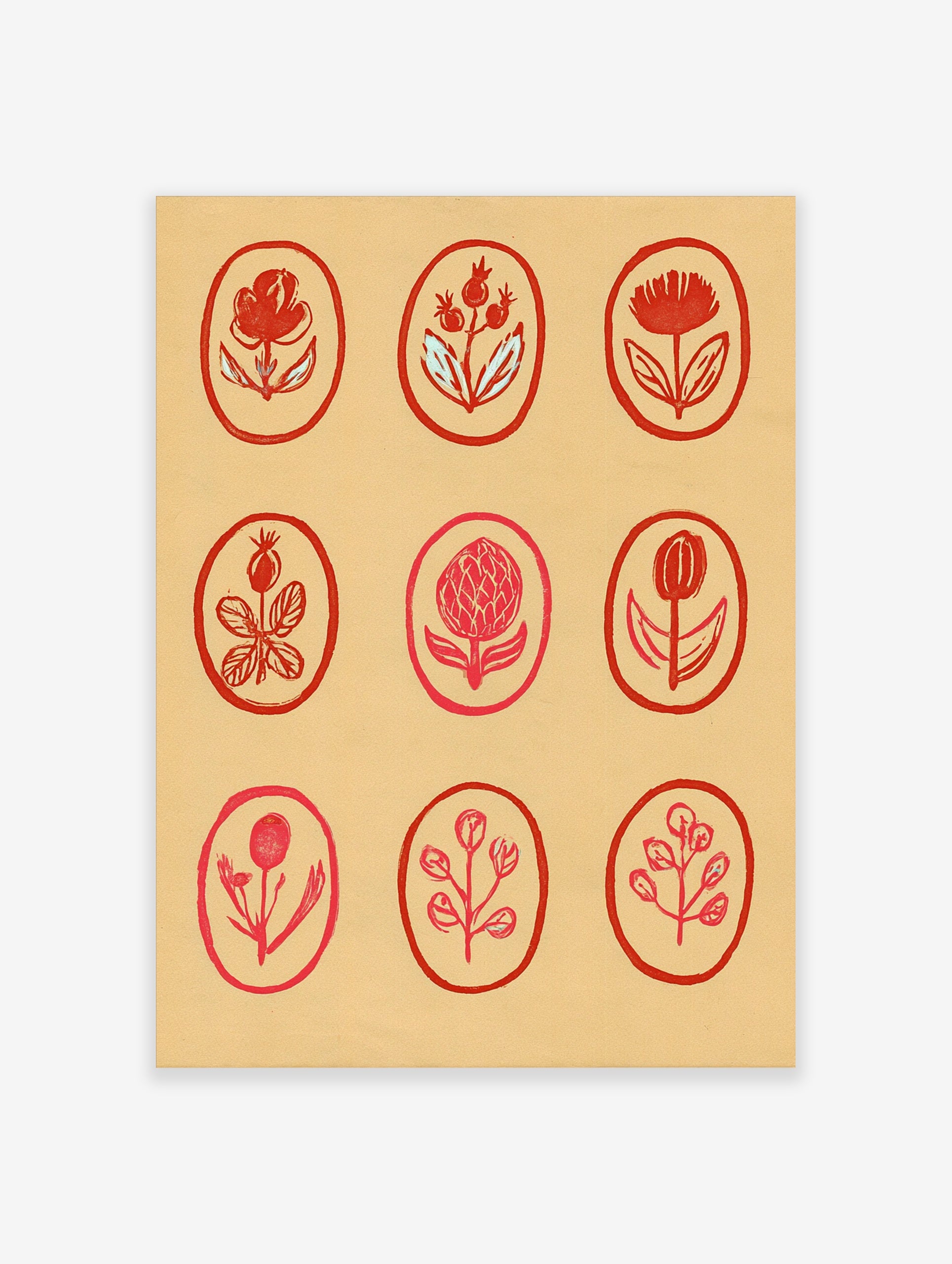 Botanical red flower grid wall art illustration with nine oval frames on a tan background