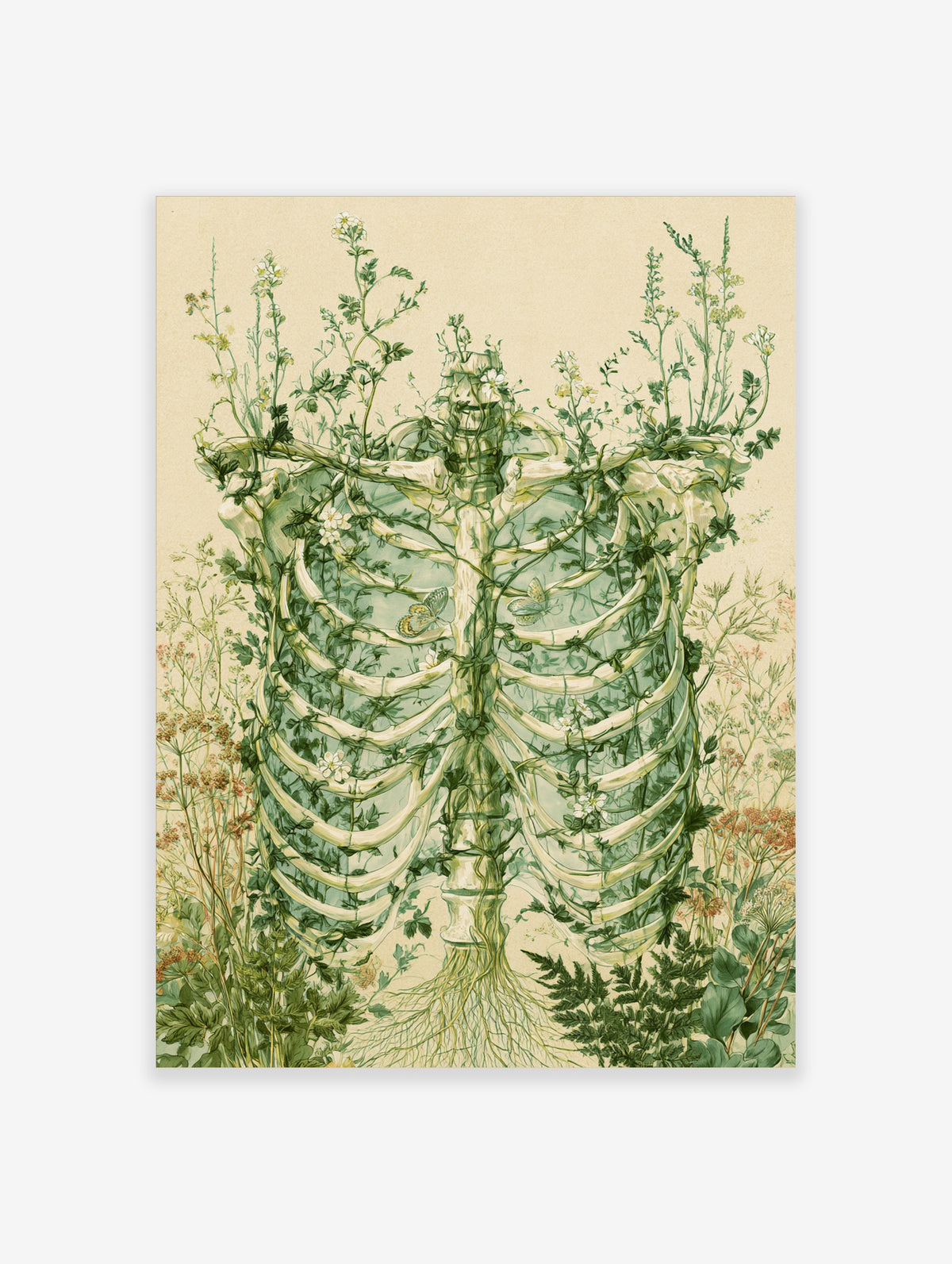 Botanical ribcage art print with green vines, white flowers, and butterflies on a beige background