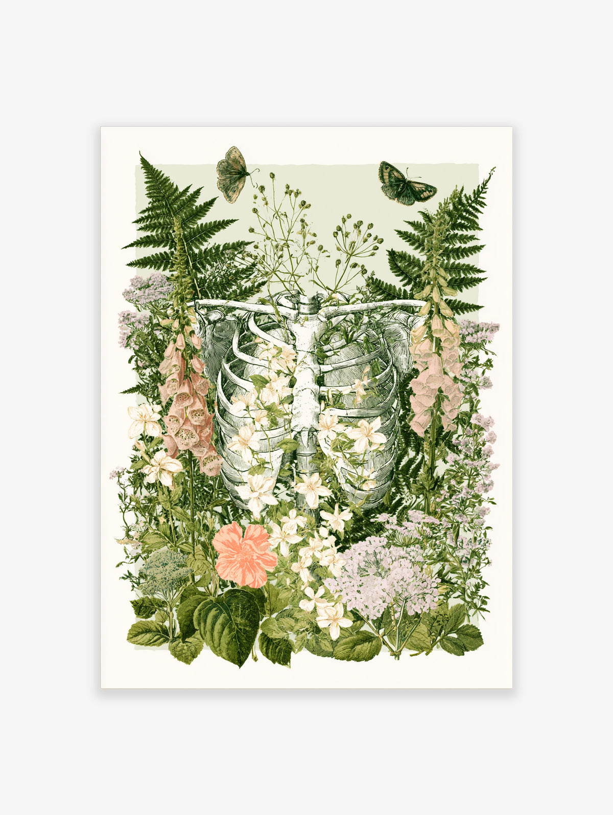 Botanical skeleton art print with ribcage, ferns, foxgloves, and moths on a pale background