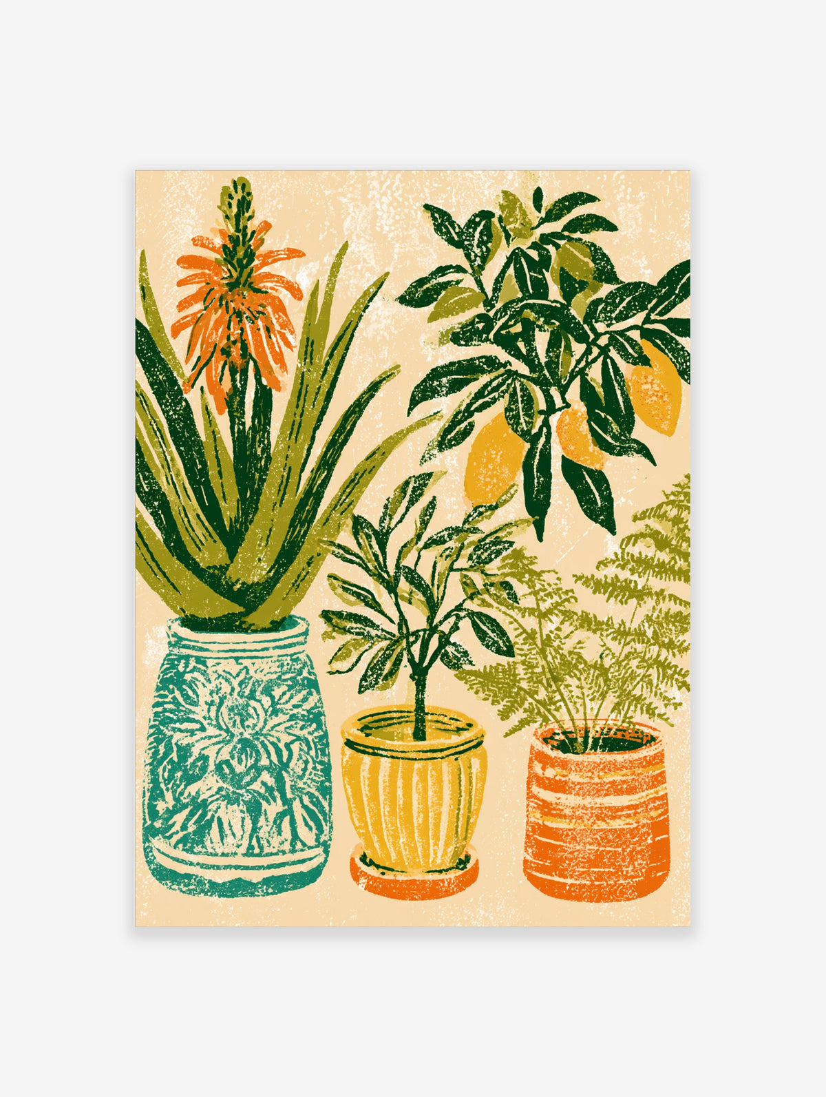 Botanical still life art print of potted aloe, lemon tree and fern in patterned pots on beige background