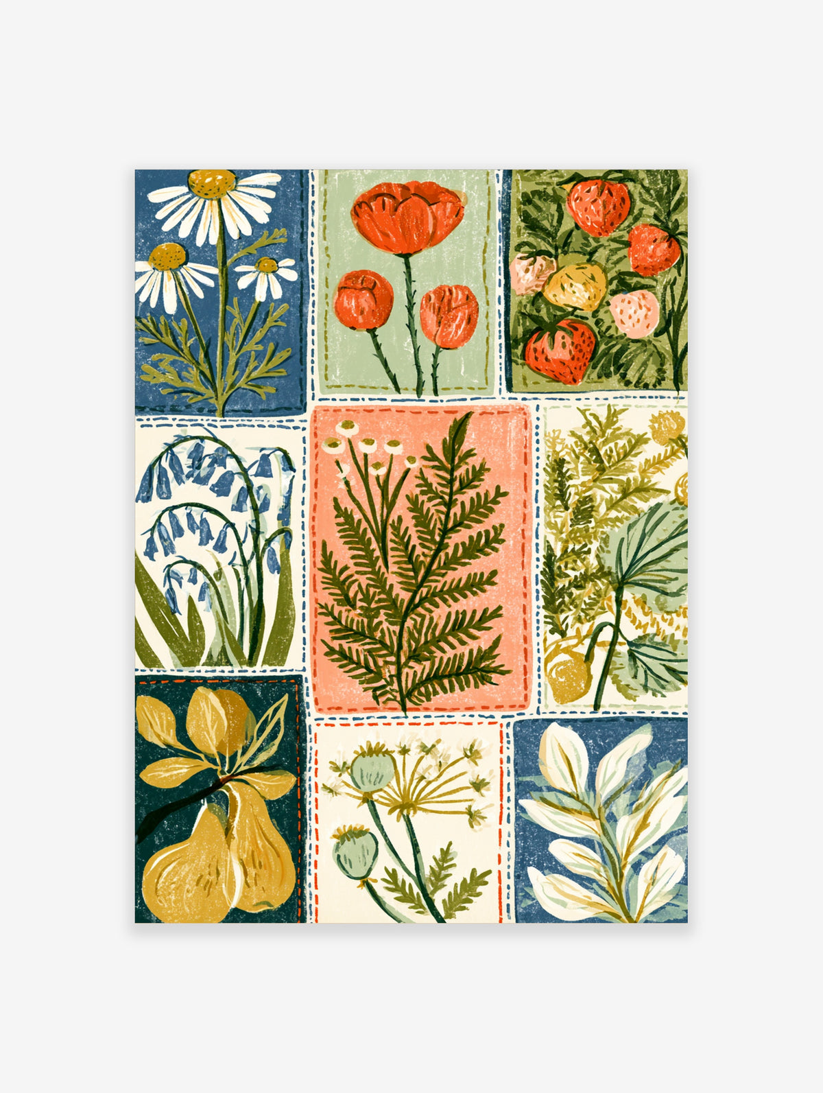 Colourful botanical poster with nine painted panels of daisies, poppies, strawberries, bluebells, ferns and pears