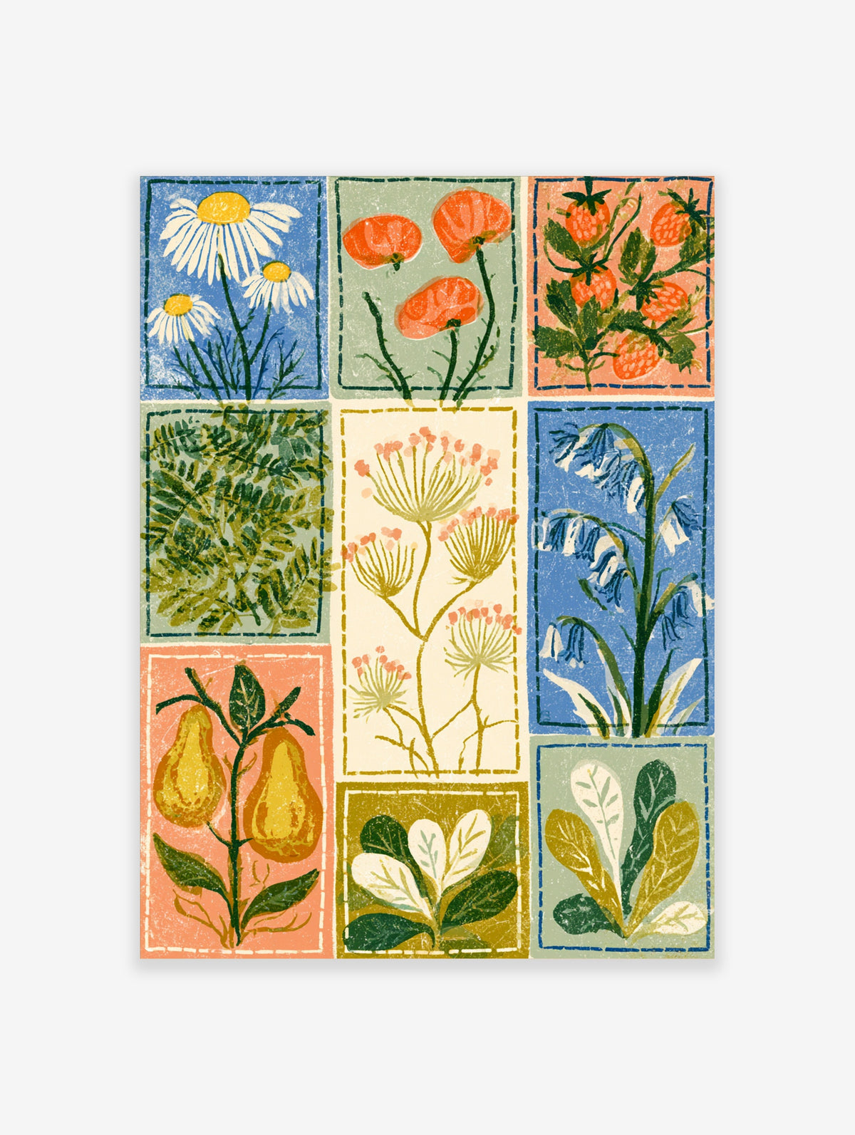 Nine-panel botanical art print with daisies, poppies, strawberries, pears, and bluebells on colourful backgrounds