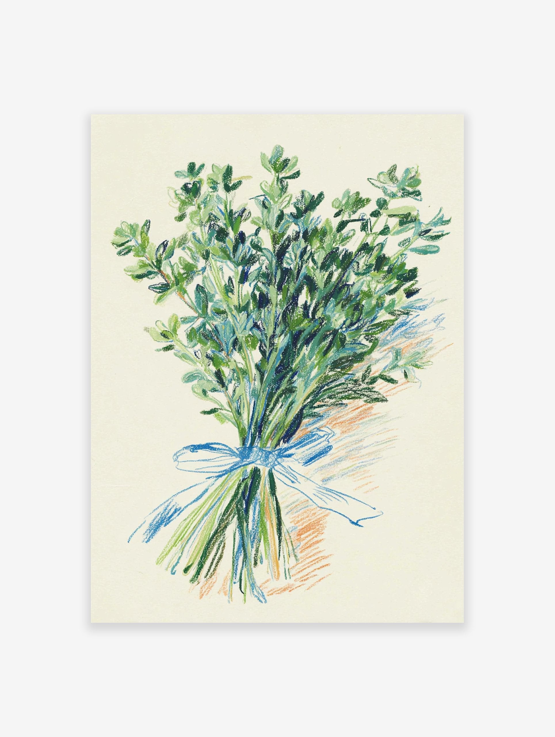 Green thyme herb botanical illustration art print tied with a blue ribbon on a cream background.