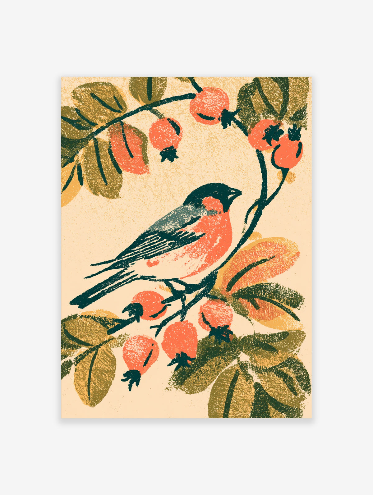 Bullfinch bird art print with persimmon fruit and olive leaves on cream background