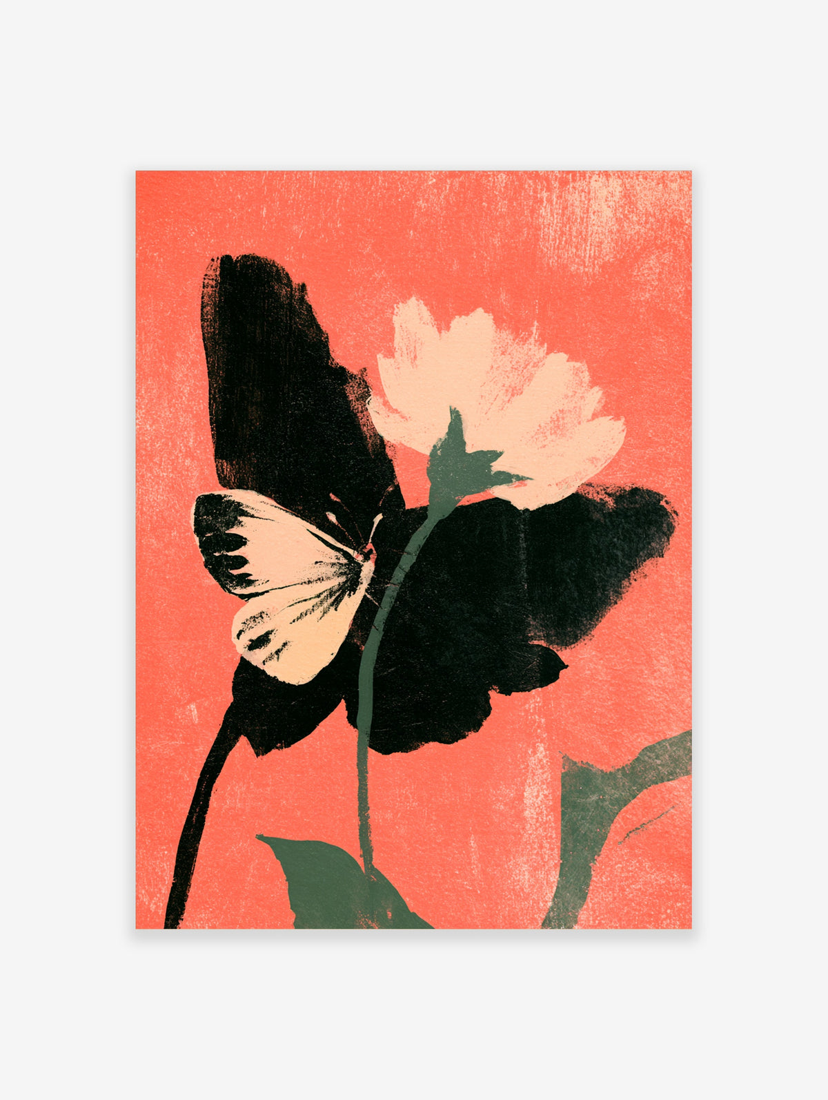 Cream butterfly and pale pink flower with dark foliage on a coral background art print