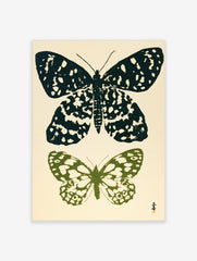 Botanical butterfly illustration art print with one black and one green butterfly on a light background