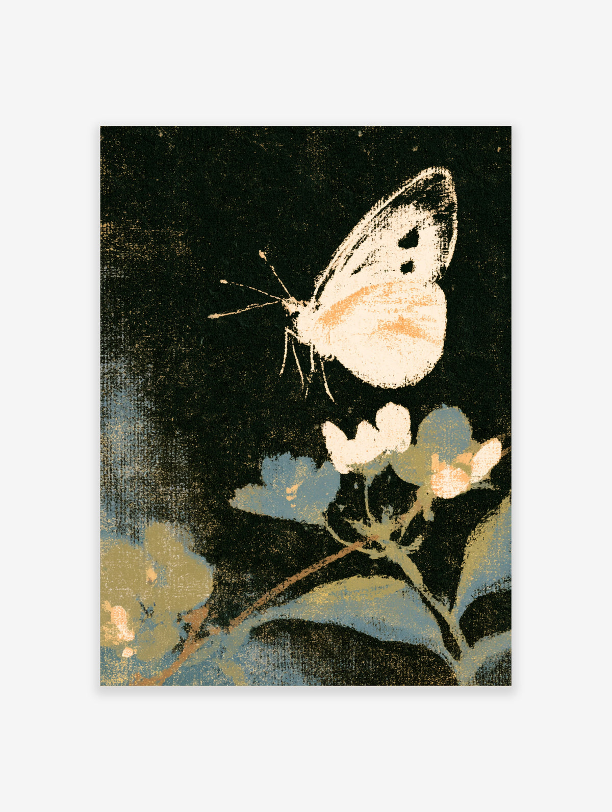 Cabbage white butterfly art print with blue and cream flowers on a dark background