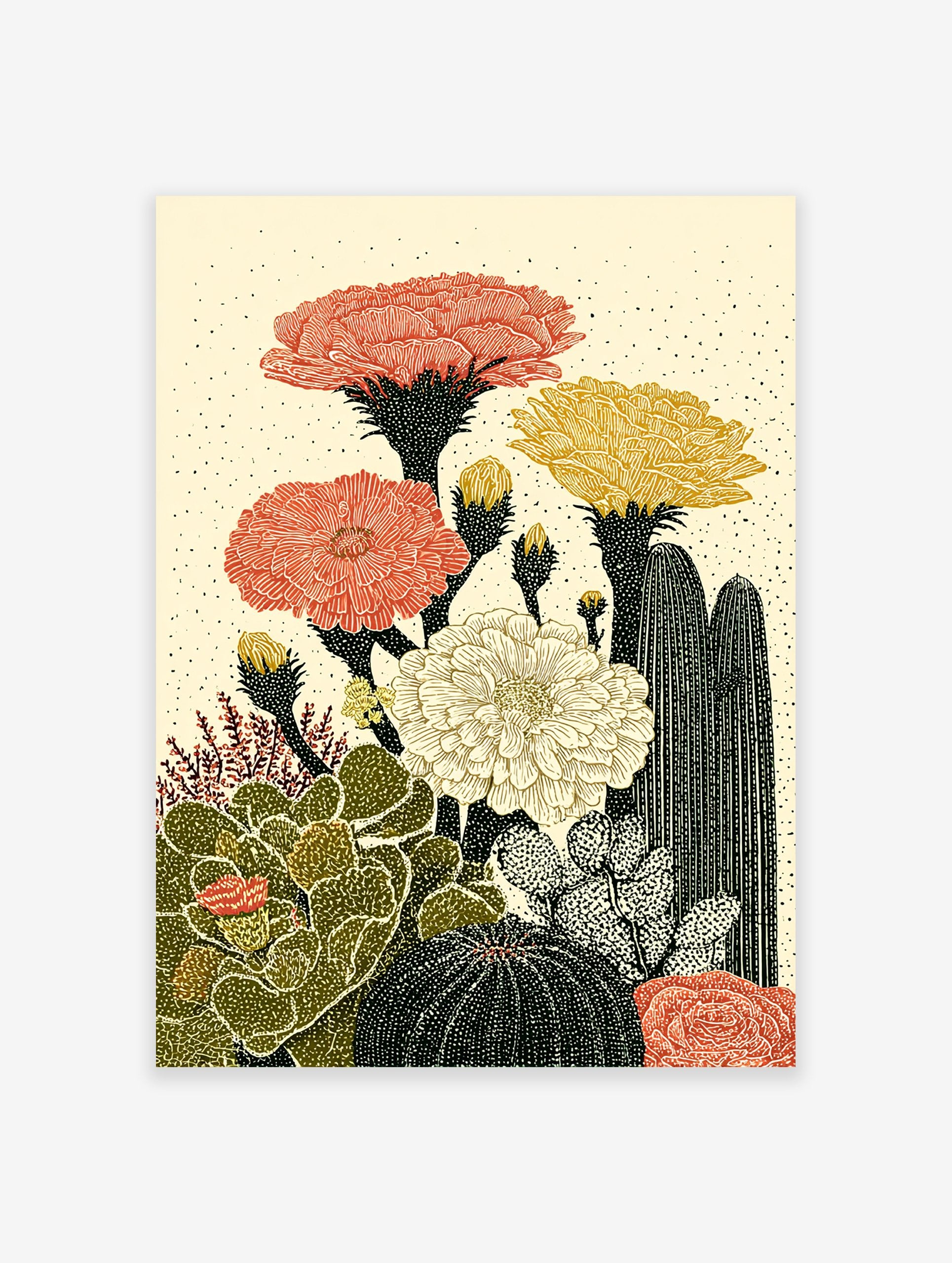 Illustrated cactus botanical poster with red, yellow, and cream flowers and green and black cacti on a light background.