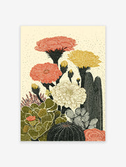 Illustrated cactus botanical poster with red, yellow, and cream flowers and green and black cacti on a light background.