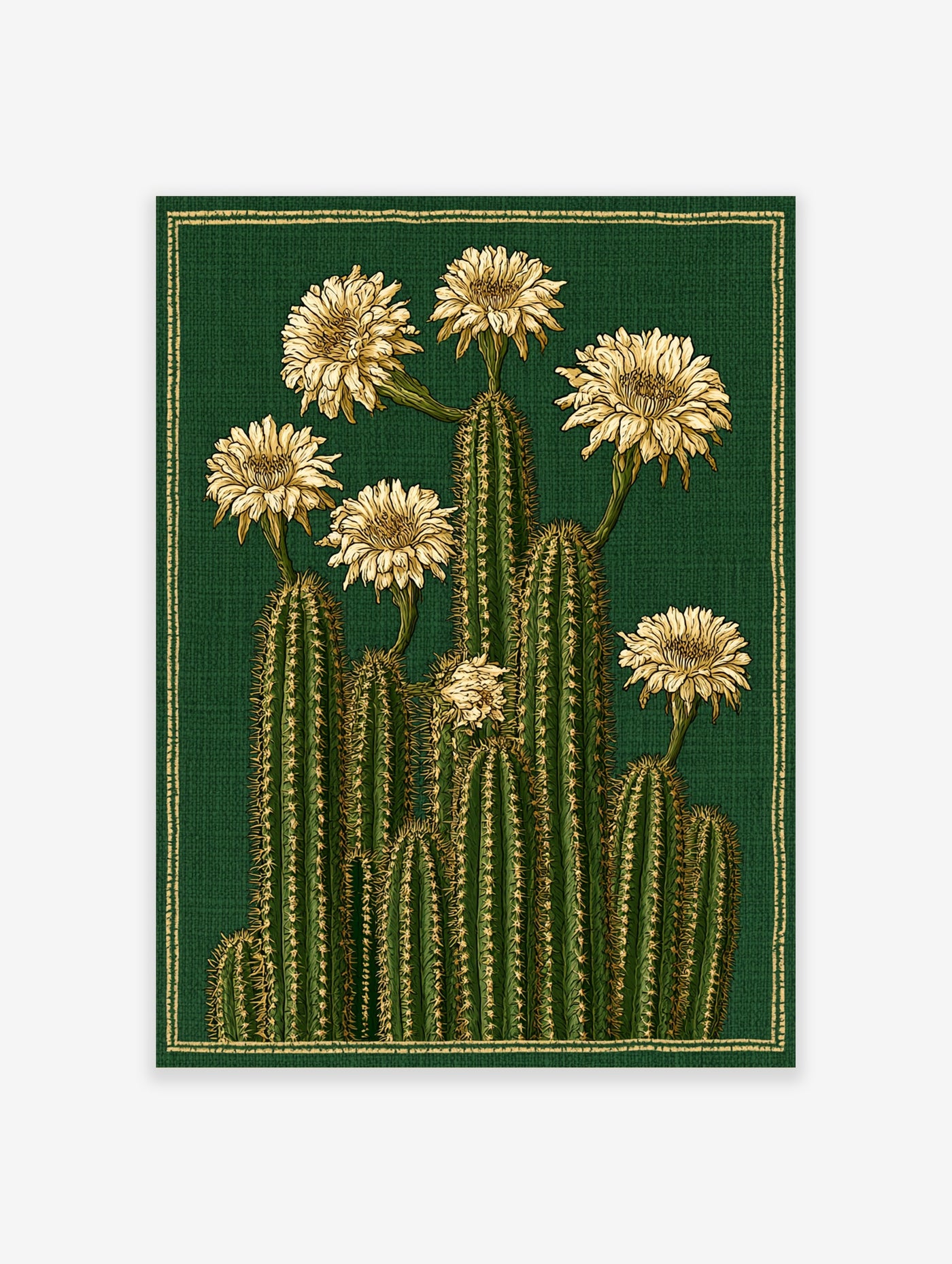 Botanical illustration of a cluster of tall green cacti with cream flowers on a dark textured green background