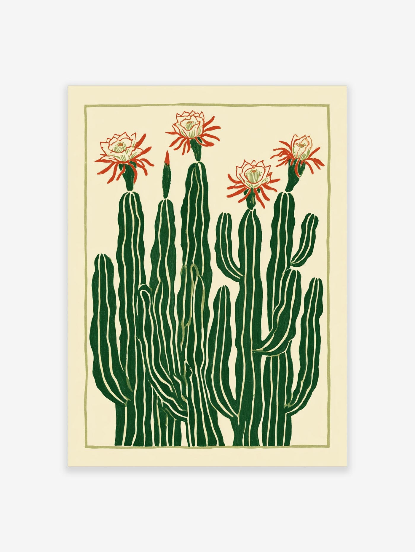 Botanical cactus flower illustration with red blooms and ribbed green stems on a cream background