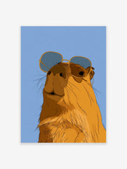 Illustrated capybara wearing oversized sunglasses against a solid blue background