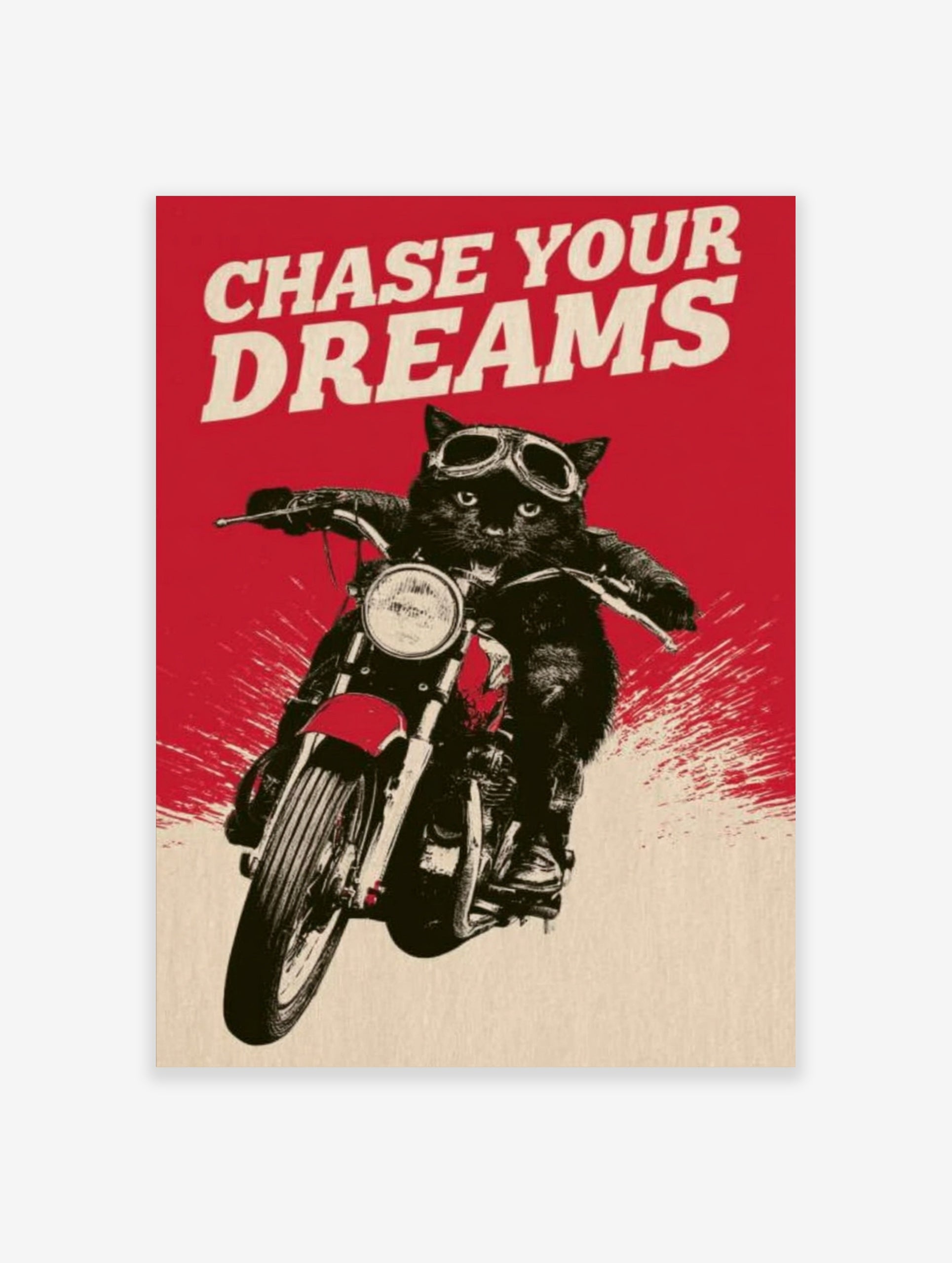 Black cat wearing motorcycle goggles on a bike with red background and the text Chase Your Dreams