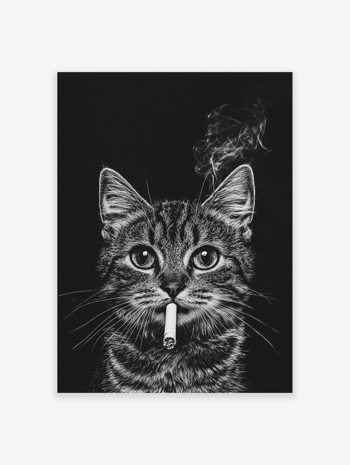 Black and white cat smoking cigarette poster with smoke rising against a dark background, a unique animal art print.