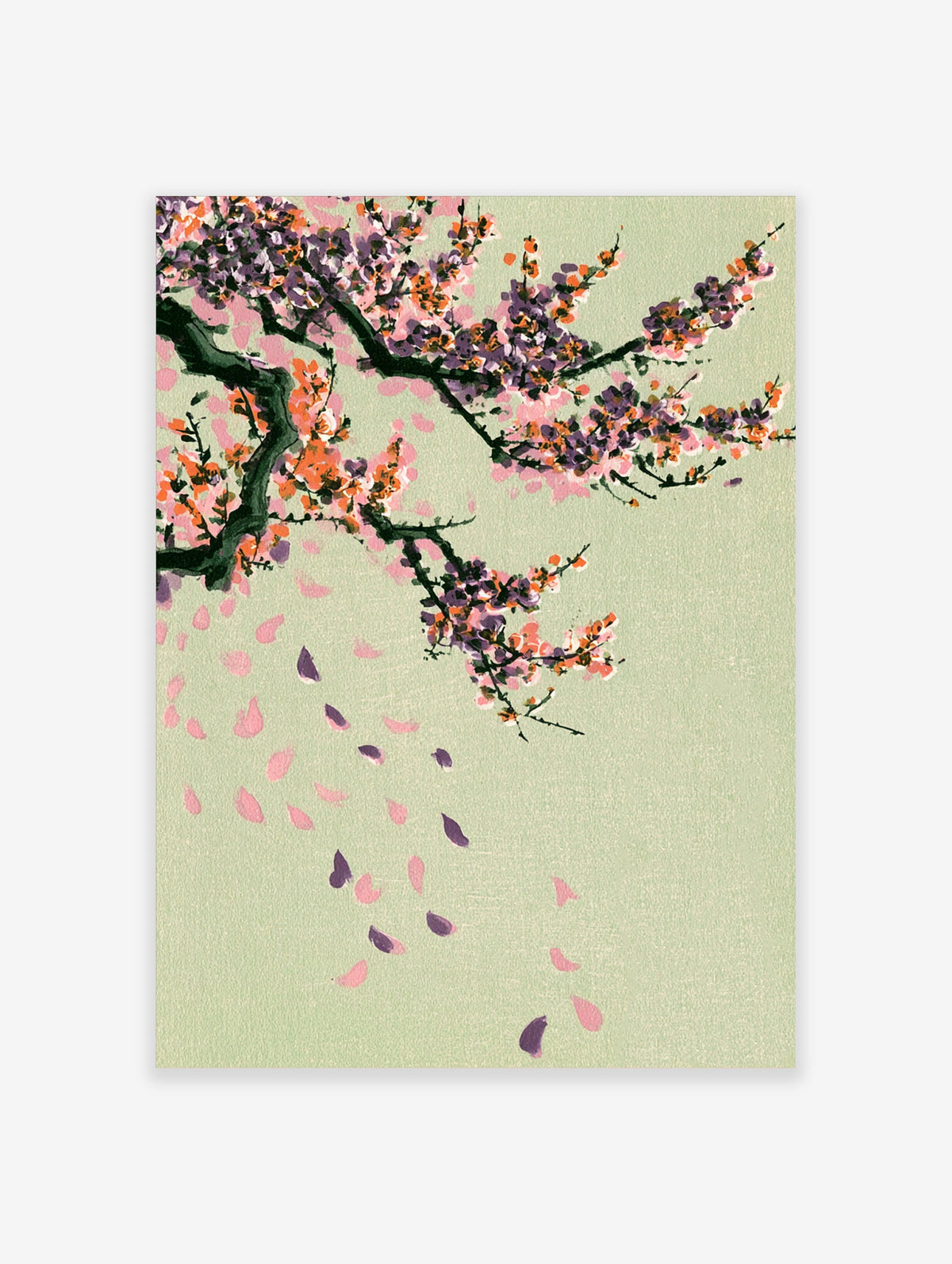 Cherry blossom branch with pink and purple petals falling on pale green background, Japanese floral art print