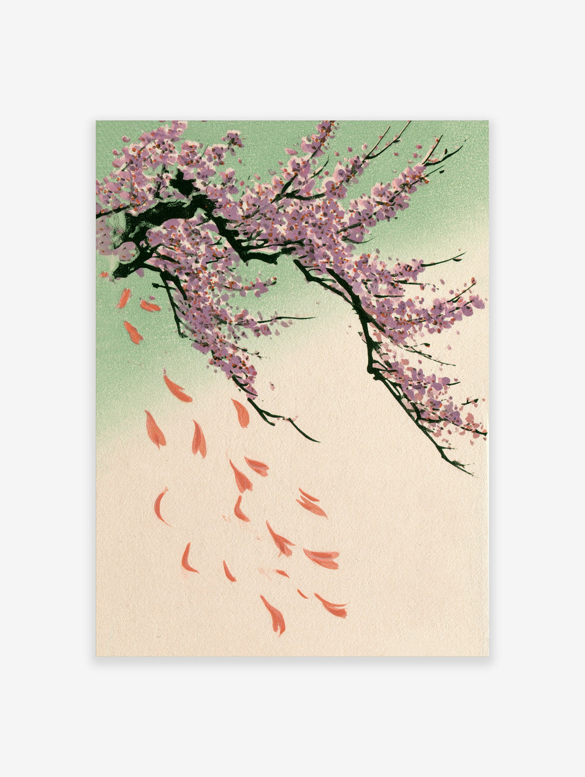 Pink cherry blossom branch with falling petals on a green and cream background, Japanese sakura flower art print
