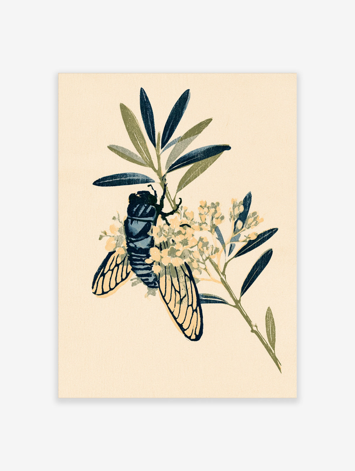 Cicada on olive branch with pale yellow blossoms, dark blue leaves, cream background, botanical art print