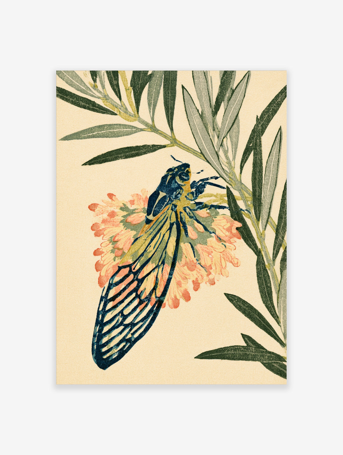 Cicada on pink flower with olive leaves on cream background, Japanese botanical art print