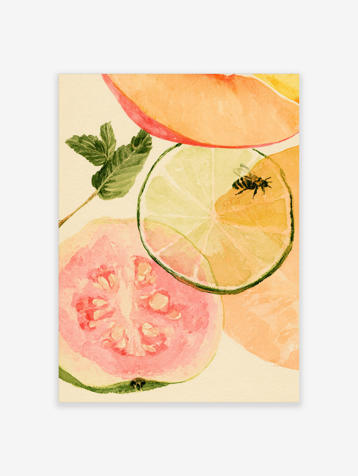 Watercolour citrus fruit slices with lime, tomato, grapefruit, bee and mint on cream background