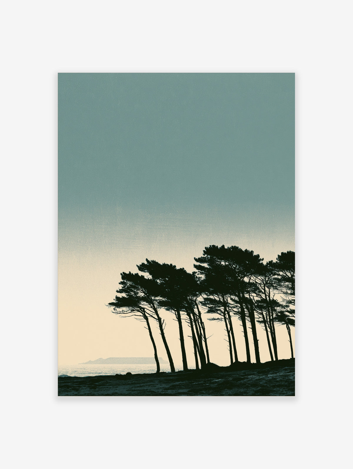 Coastal pine tree silhouette poster with dark trees against a pale gradient sky and distant sea horizon