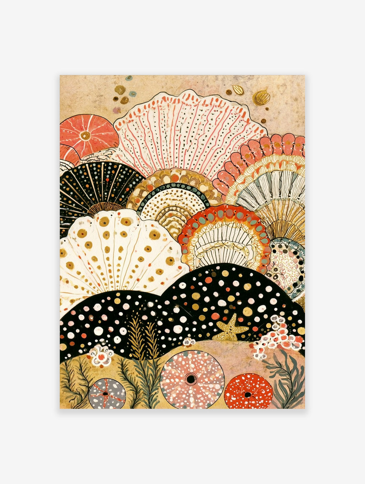Coastal shell collage art print with scallop, clam and sea urchin forms in coral, black and cream