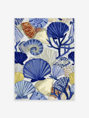 Blue and white coastal wall art featuring various seashells, a spiral shell, and coral on a light background.