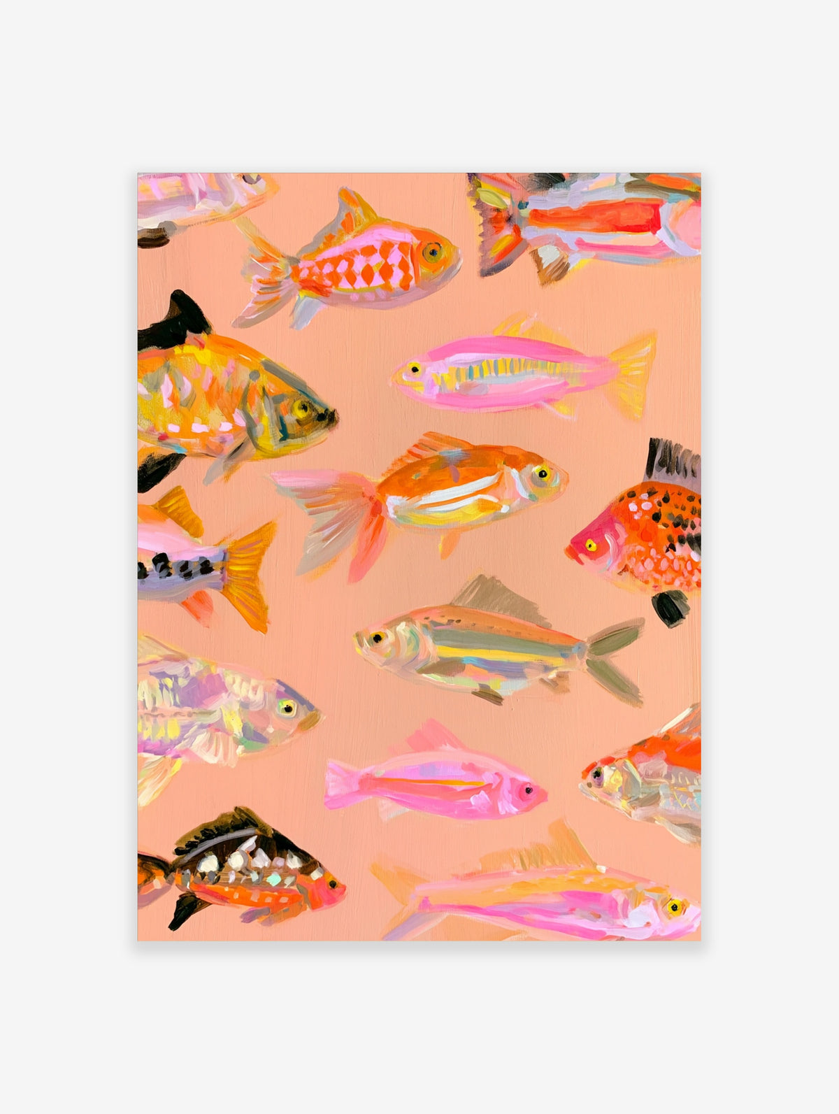 Colourful fish poster with twelve painted tropical fish on a peach background