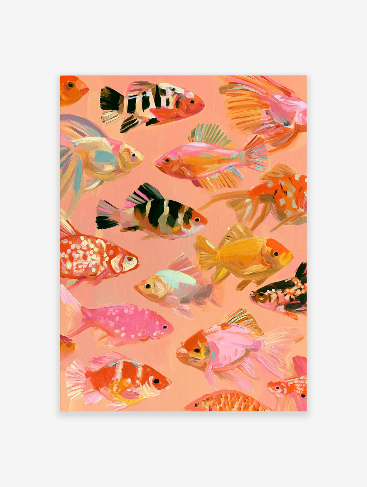 Colourful fish poster with painted koi, cichlids and goldfish on a peach background