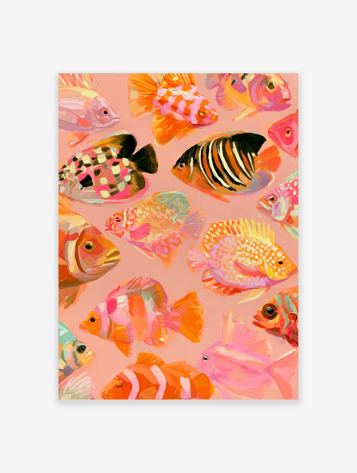 Colourful tropical fish poster with painted angelfish, clownfish and coral reef species on a pink background