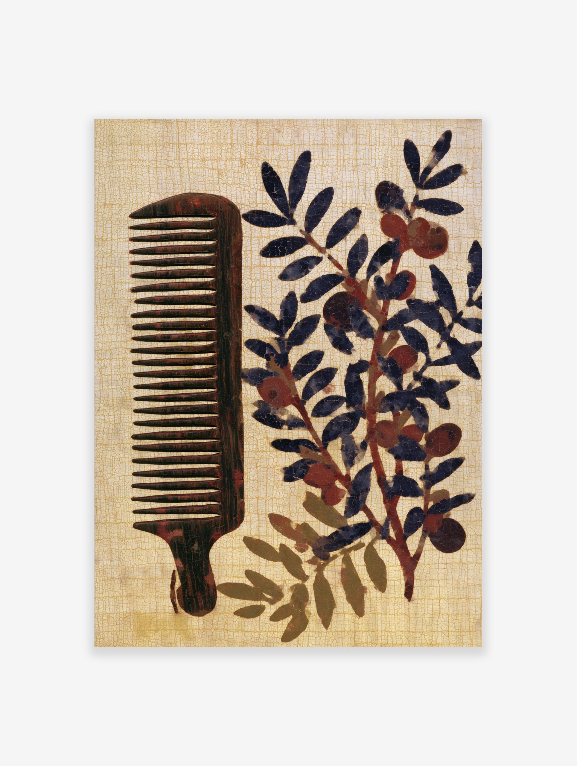 Vintage style illustration of a wooden comb and an olive branch with dark fruit on a textured cream background