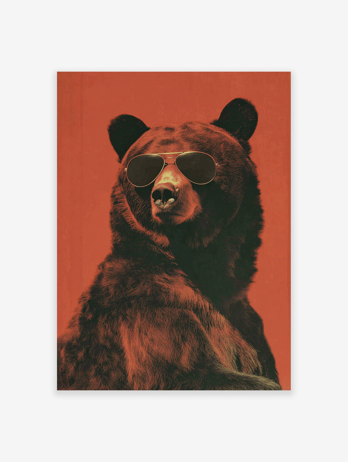 Cool bear poster wearing aviator sunglasses against a textured red background, showcasing dark fur and a stern expression.