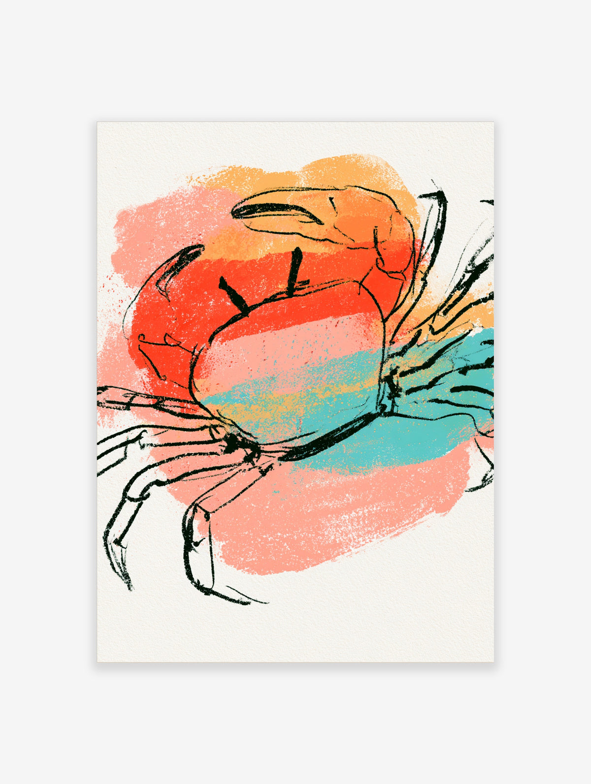 Black ink crab sketch over coral, orange and teal colour blocks on off-white paper