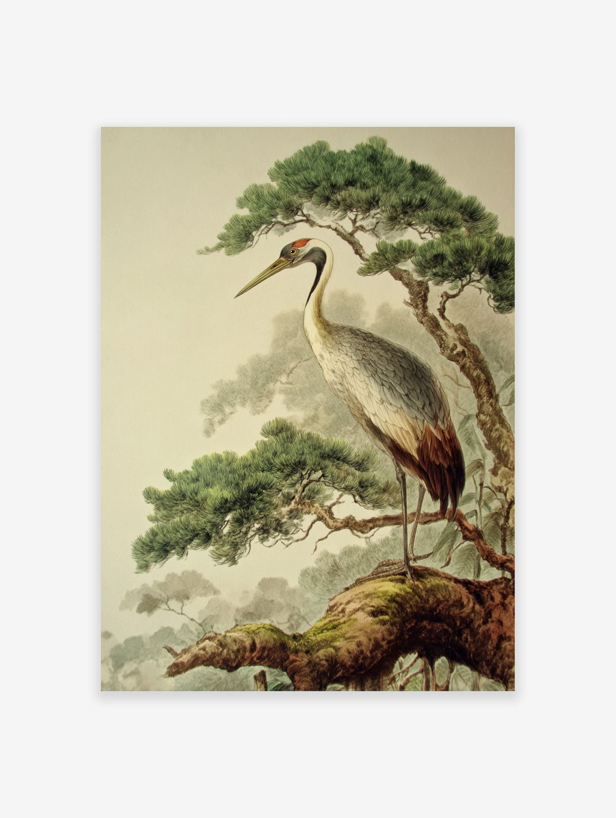 Vintage Japanese crane poster illustration showing a crane perched on a mossy pine tree branch with a misty background.