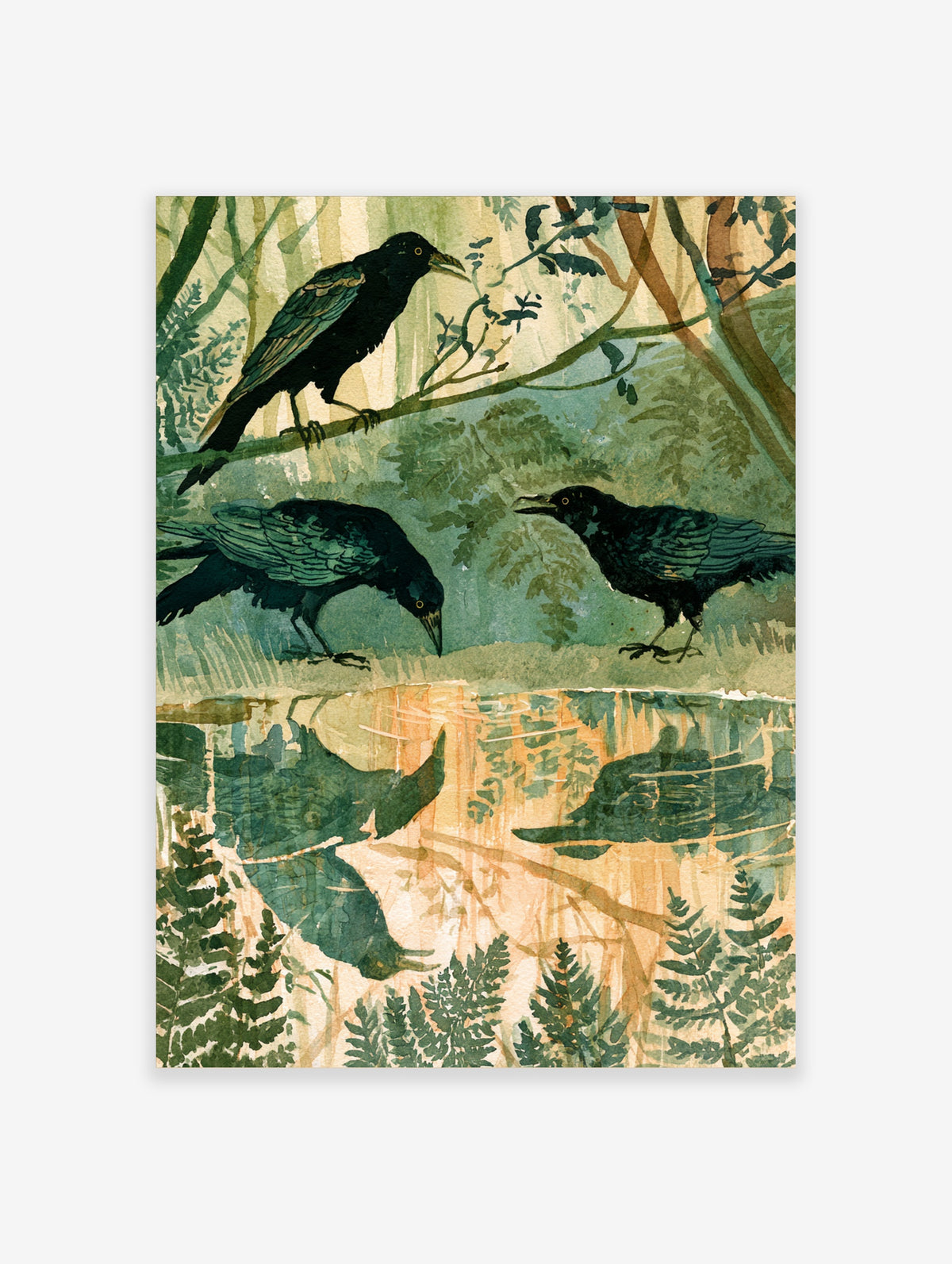Illustration of three black crows in woodland, two beside water with green reflections and a beige background