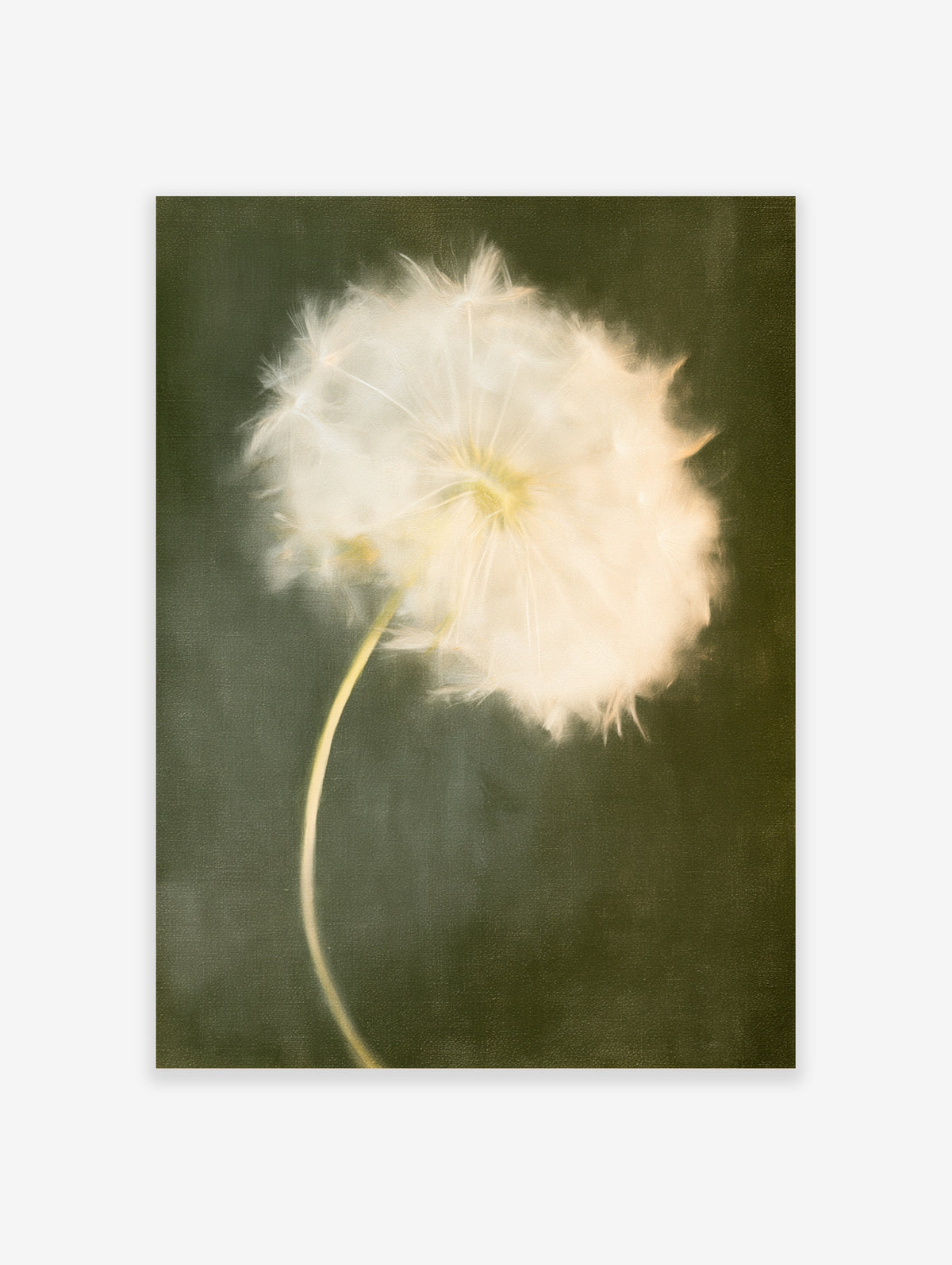 Dandelion seed head poster with white fluffy sphere and curved stem on dark green background