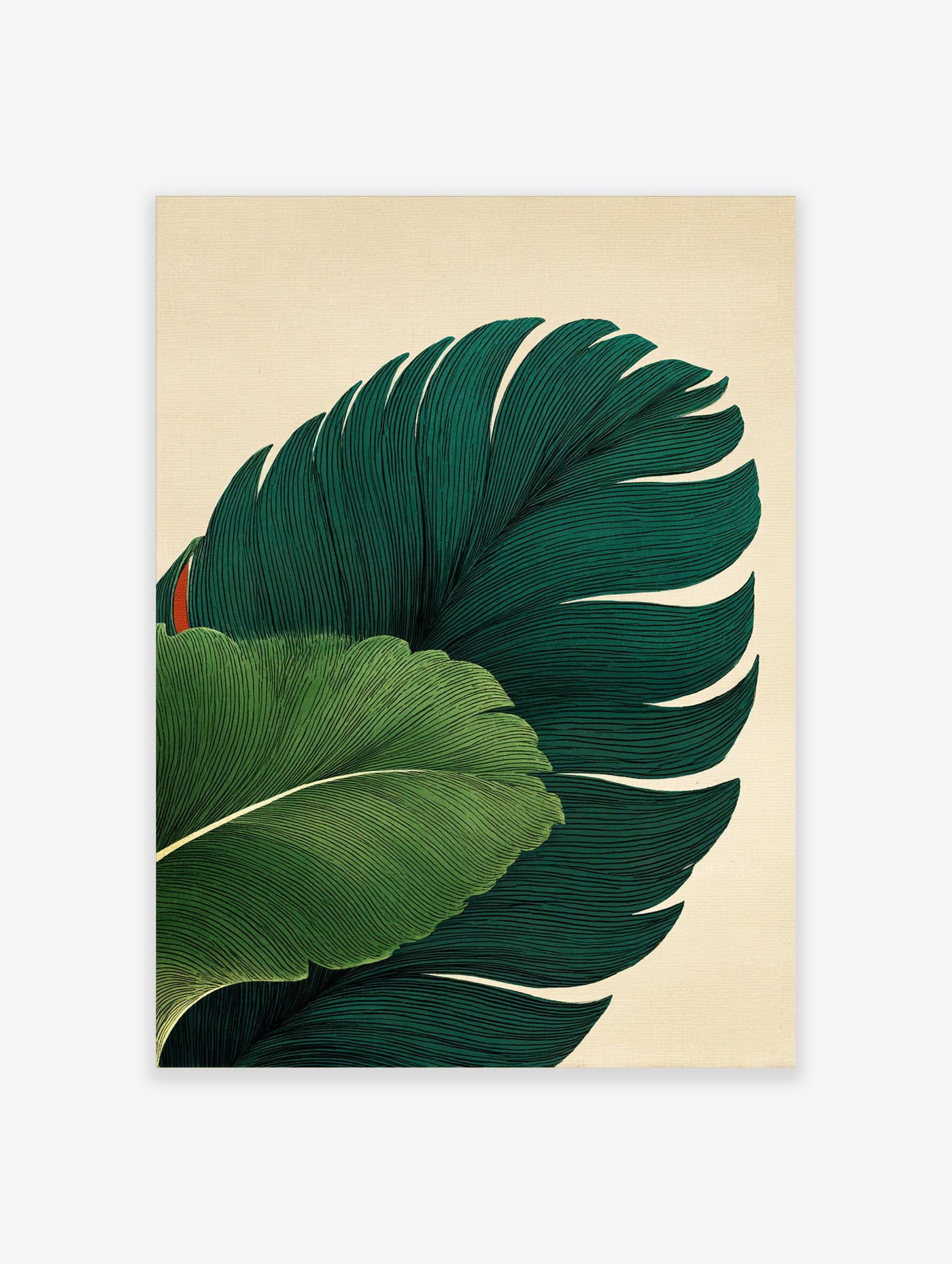 Dark green botanical leaf print with fine line detail on beige background