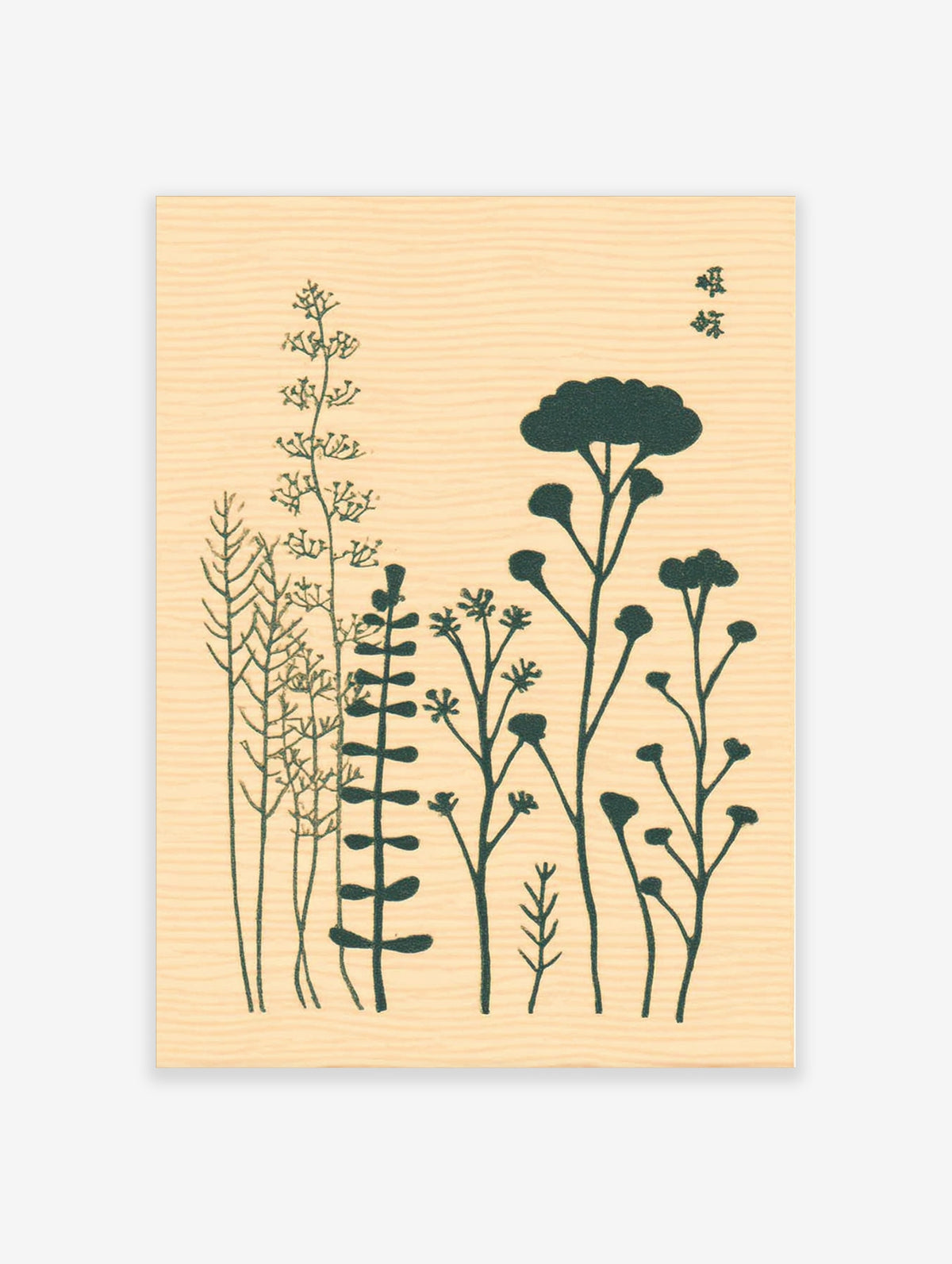 Dark green botanical silhouette poster with tall stems, umbel flower heads and fern fronds on cream paper