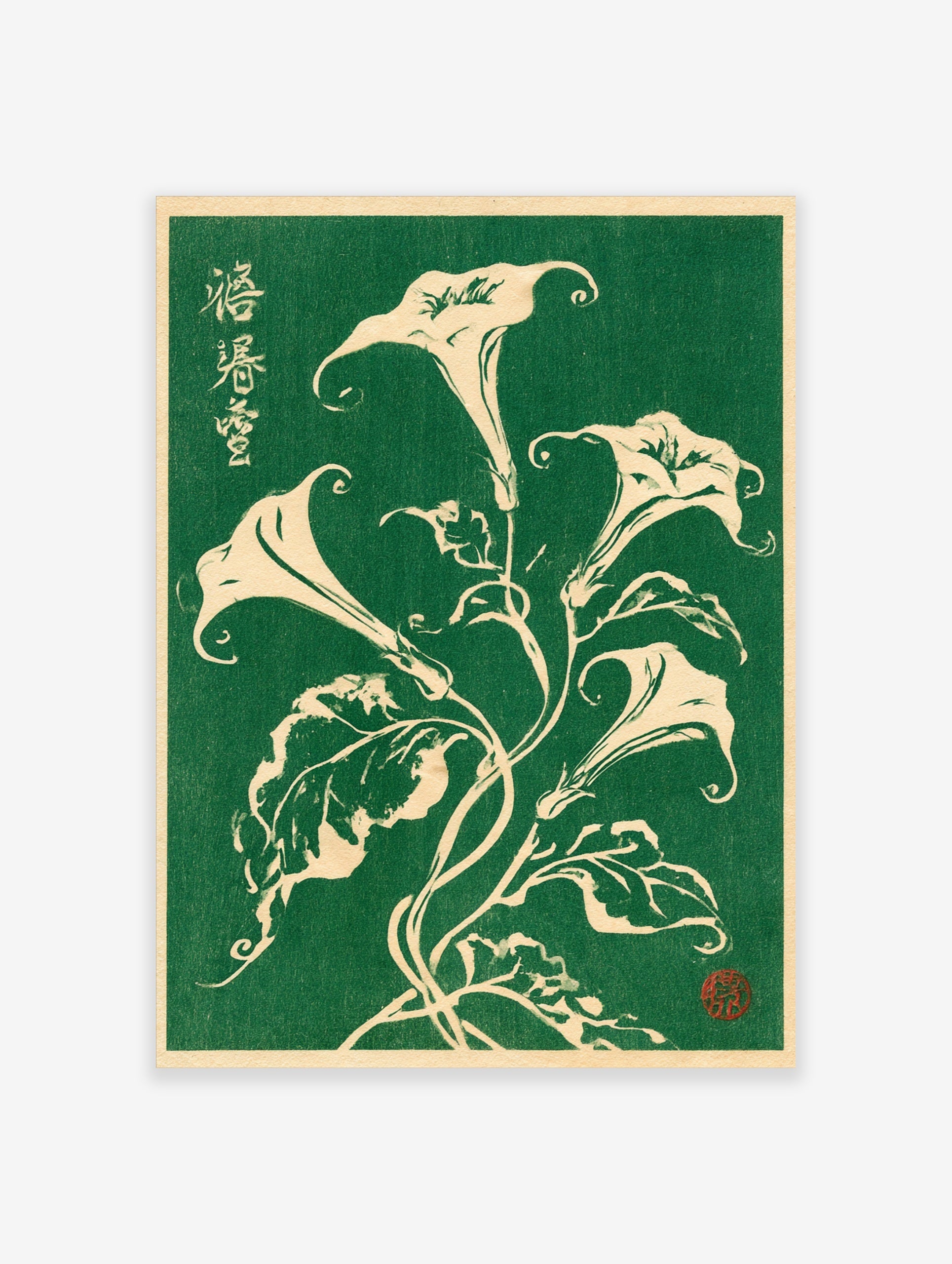 Botanical illustration of white Datura flowers with Japanese calligraphy on a deep green background