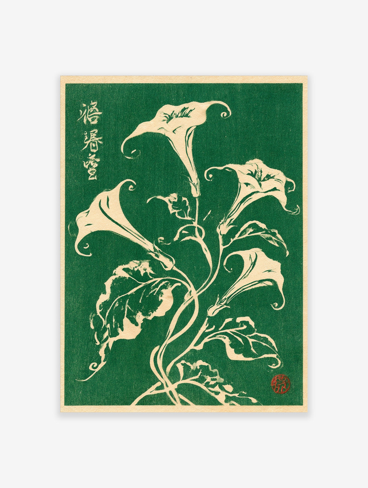 Botanical illustration of white Datura flowers with Japanese calligraphy on a deep green background