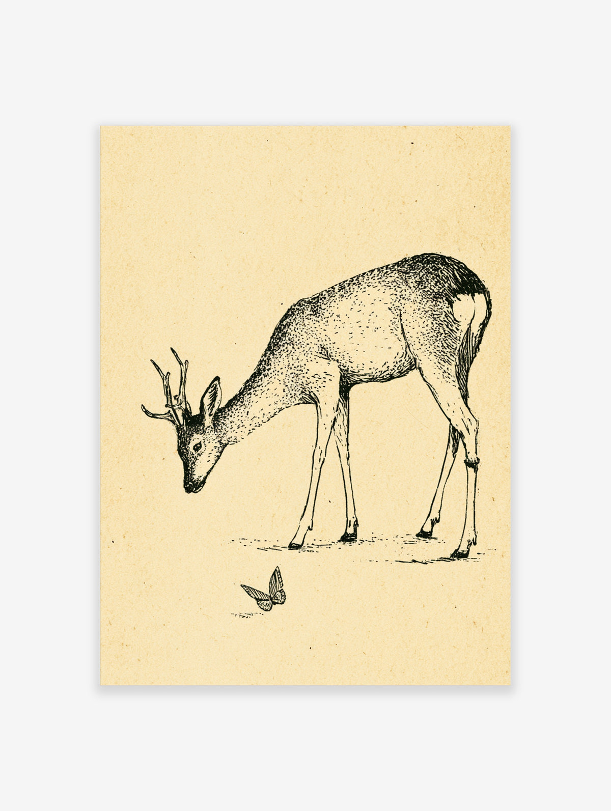 Vintage ink illustration of a deer with antlers bending toward a butterfly on cream paper