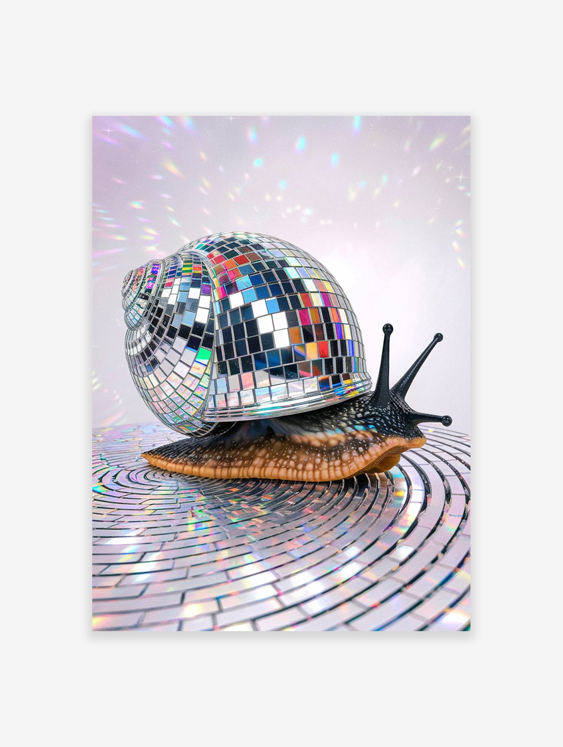 A disco snail poster featuring a snail with a shimmering mirror ball shell on a reflective surface with colorful light reflections.