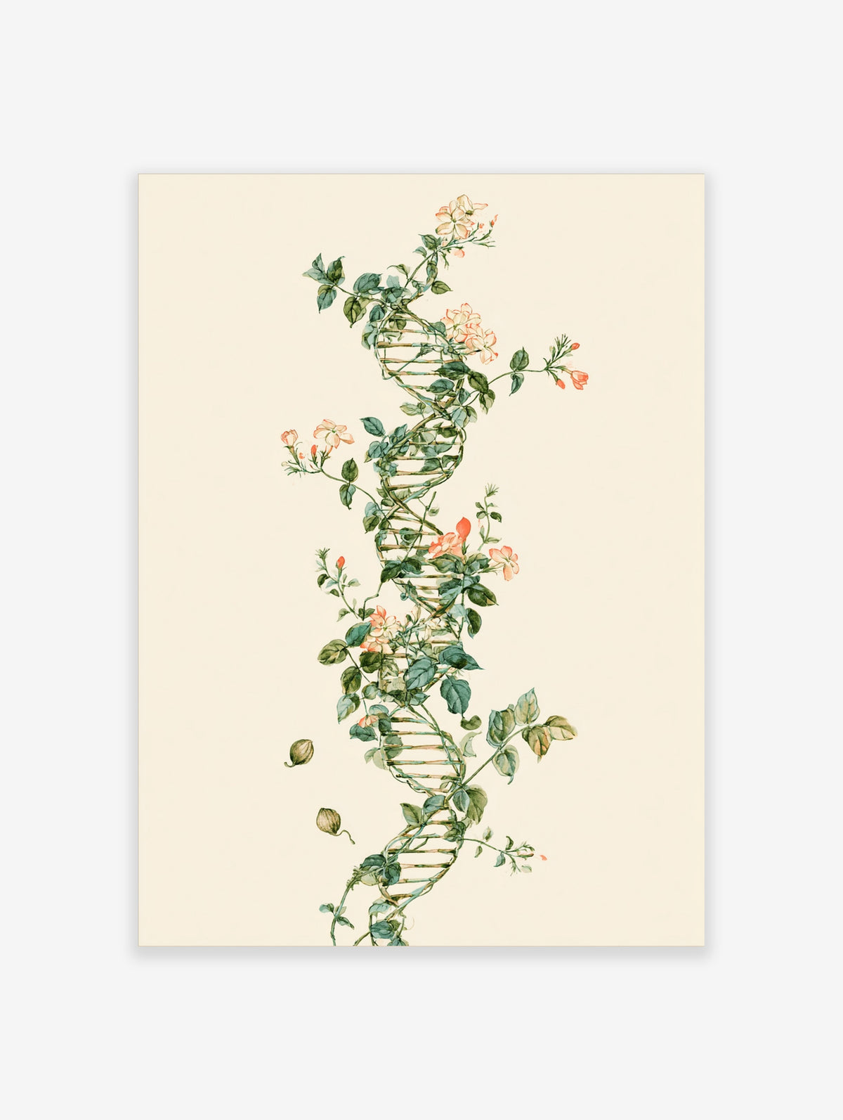 DNA double helix entwined with green leaves and pink flowers on a cream background, botanical science art print
