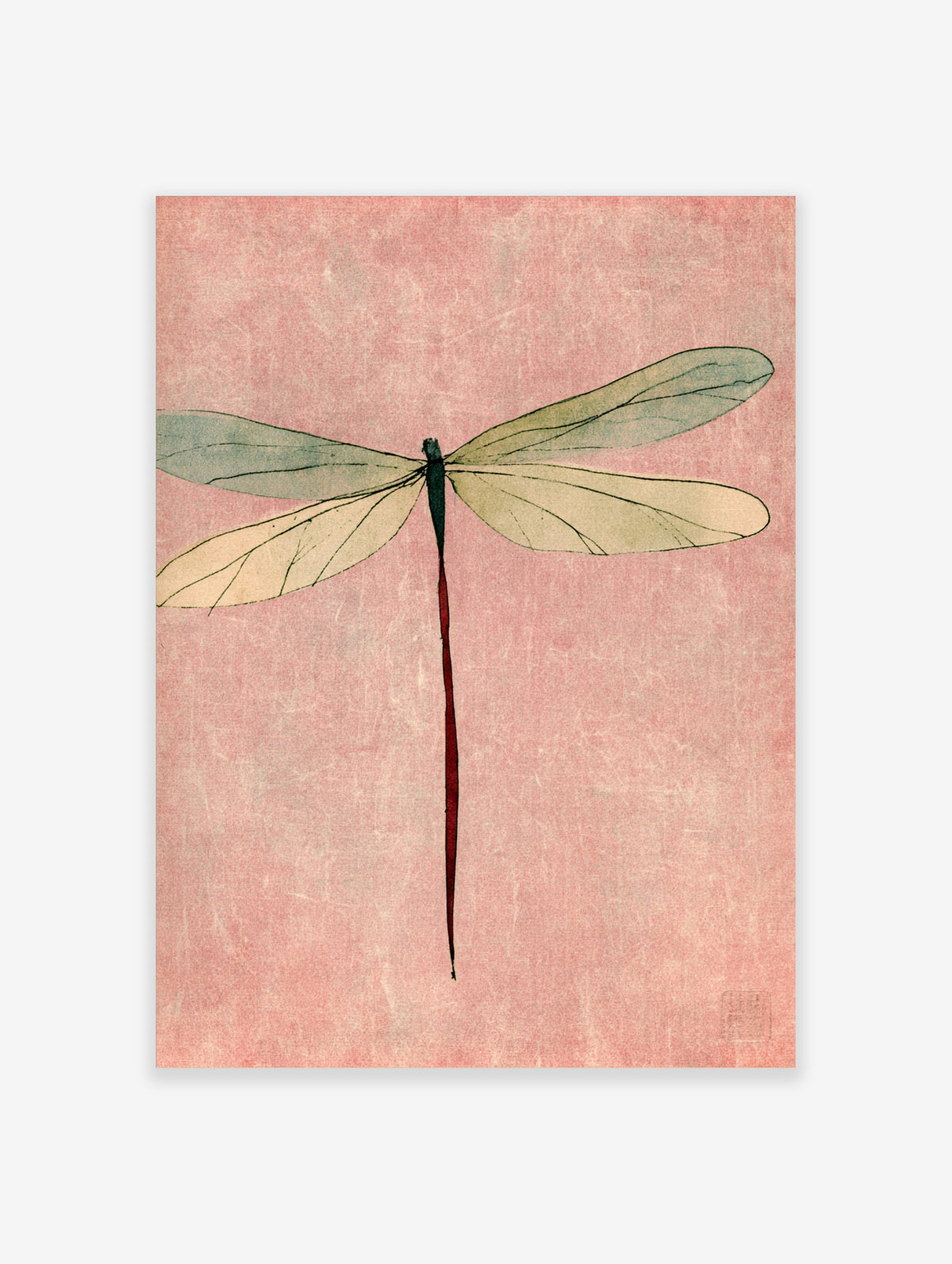 Vintage-style dragonfly art print with red body and pale green wings on pink background