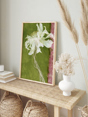 Dried white flower with trailing roots on a green background with a pink textured strip, in an alternate framed mockup