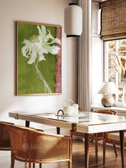 Dried white flower with trailing roots on a green background with a pink textured strip, botanical, in a styled room mockup