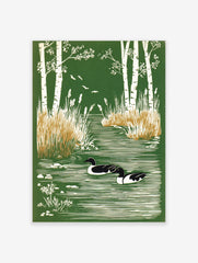 Illustrative print of two ducks swimming in a green pond framed by white birch trees and reeds