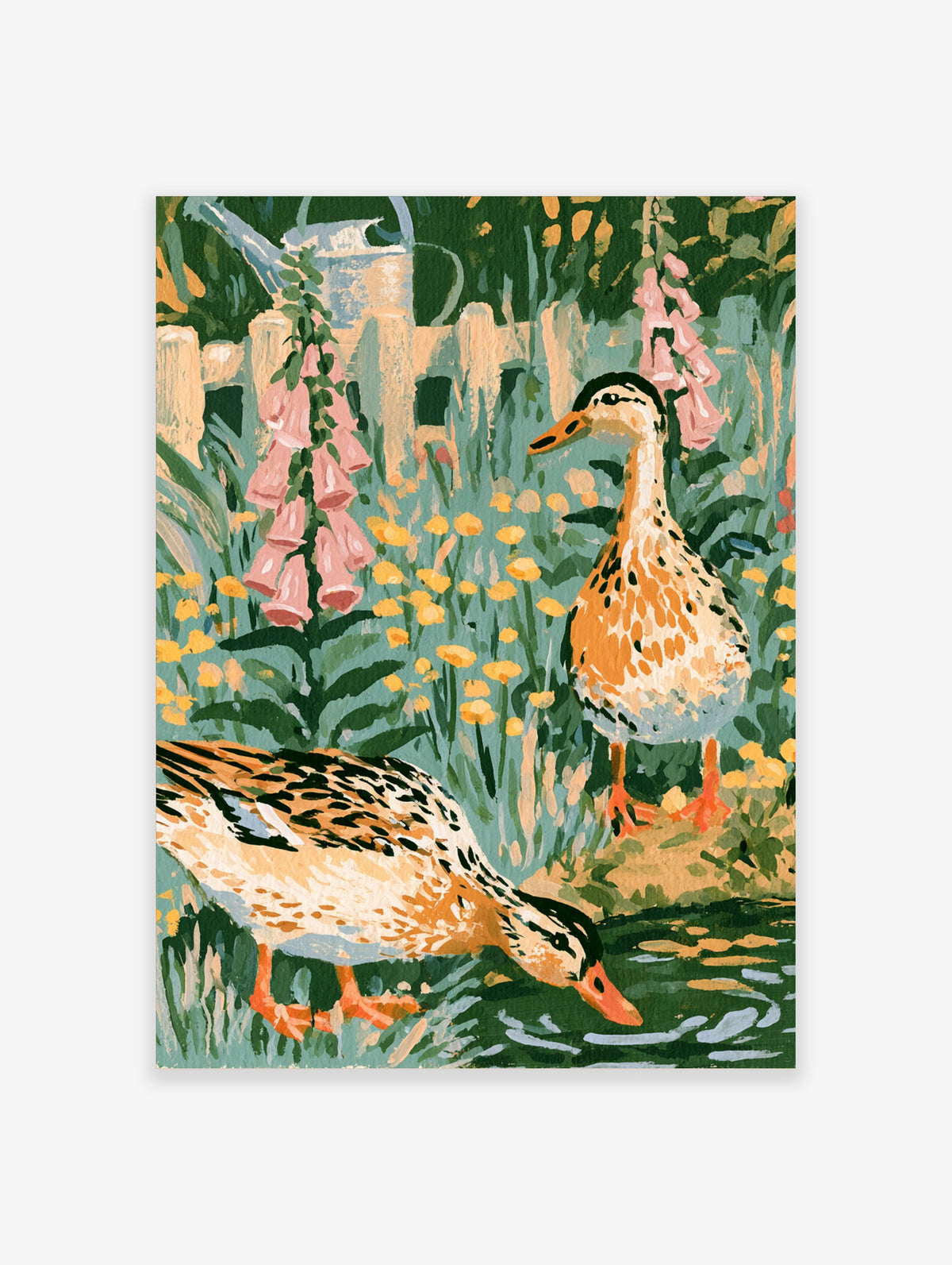 Duck wall art print of two mallards in a colourful garden pond with pink foxgloves and yellow flowers