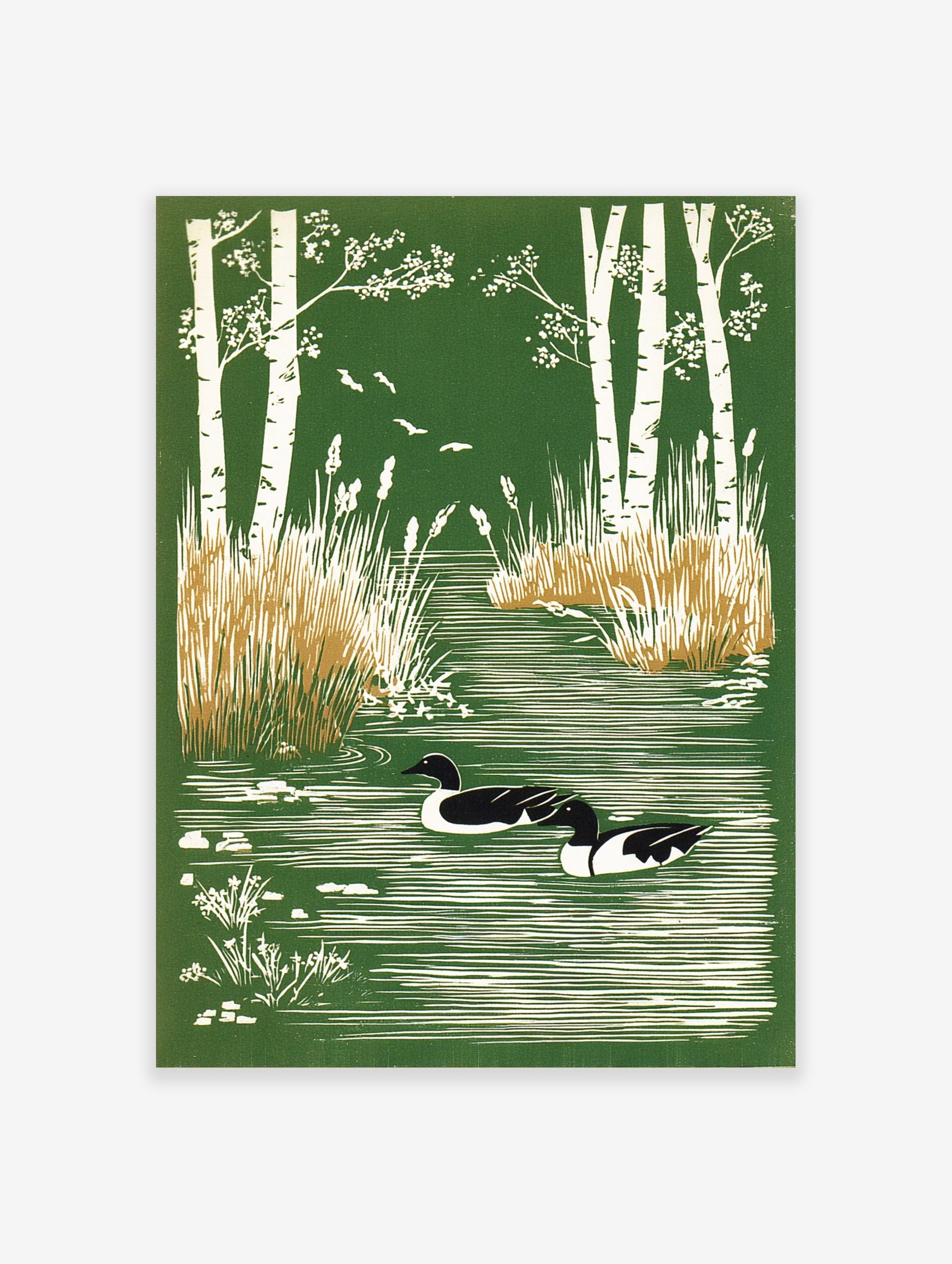 Illustrative print of two ducks in a green pond with white birch trees and reeds, small birds flying