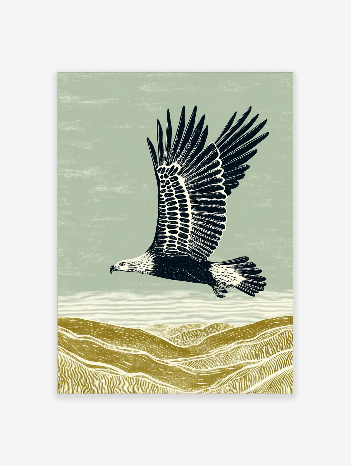 Illustrative linocut style print of an eagle flying over textured olive green hills under a blue-green sky